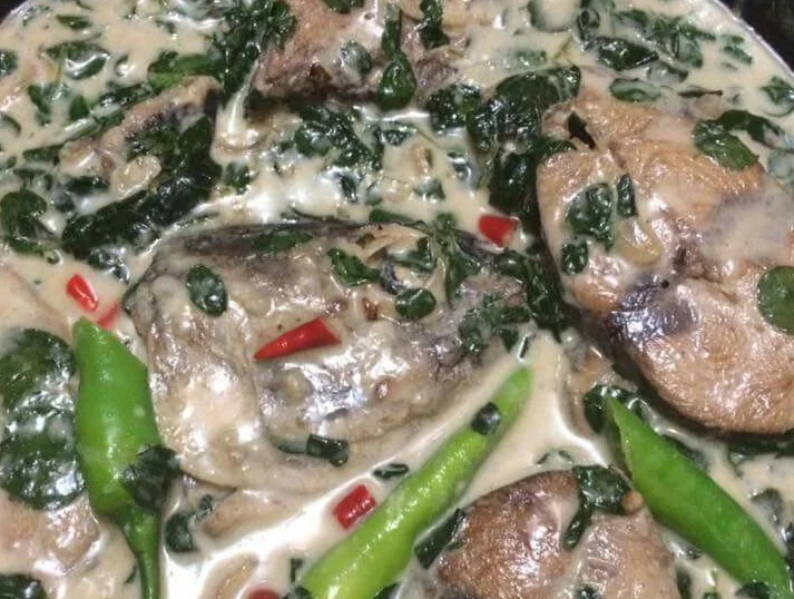 Ginataang Tuna